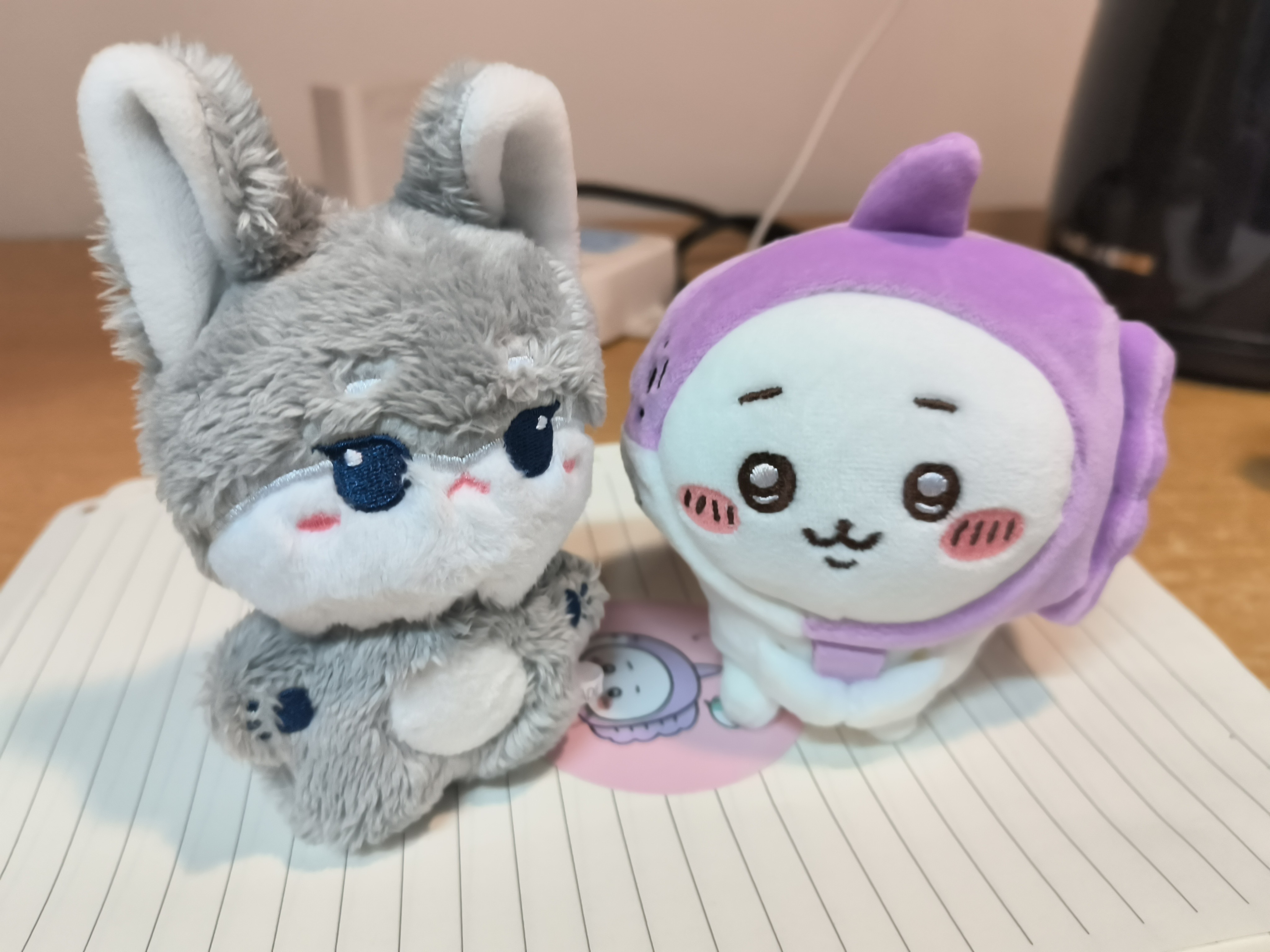 【1470号来信】宝宝的新朋友 ​​​