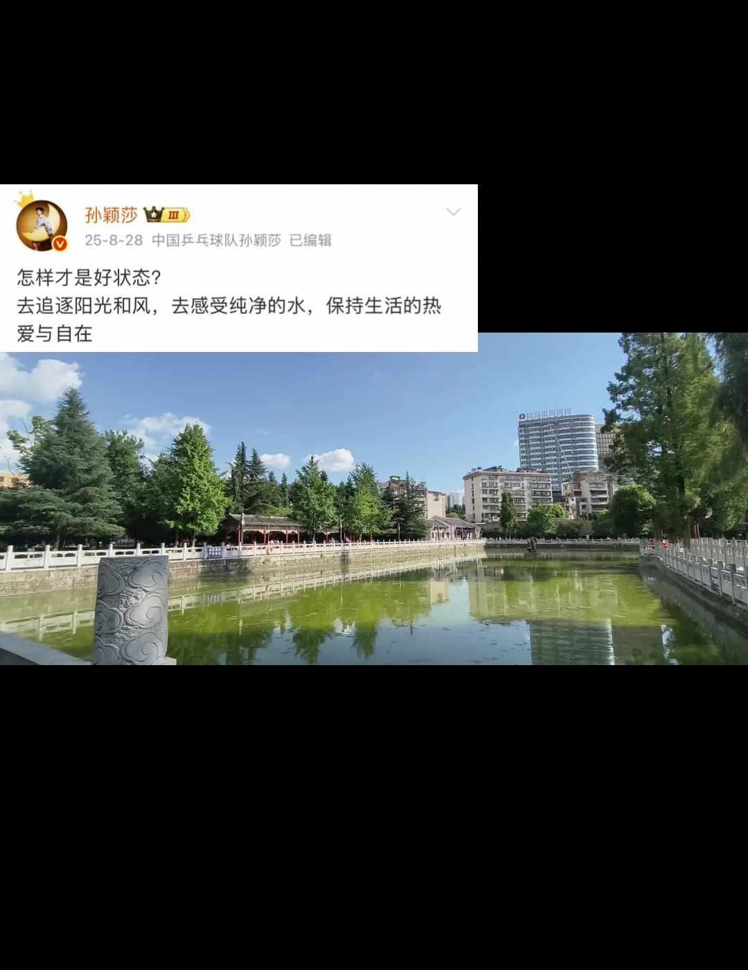 风 会把我带去哪里
孙颖莎