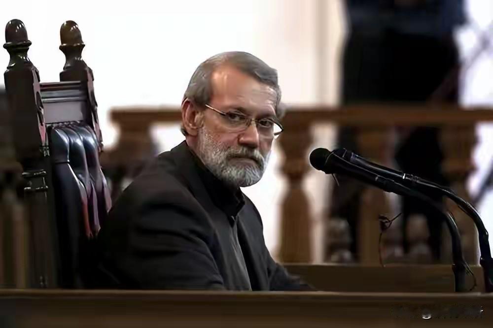 伊朗安全委员会秘书拉里贾尼及其儿子遇难，可见以色列的情报追踪是多么“精准”。难道