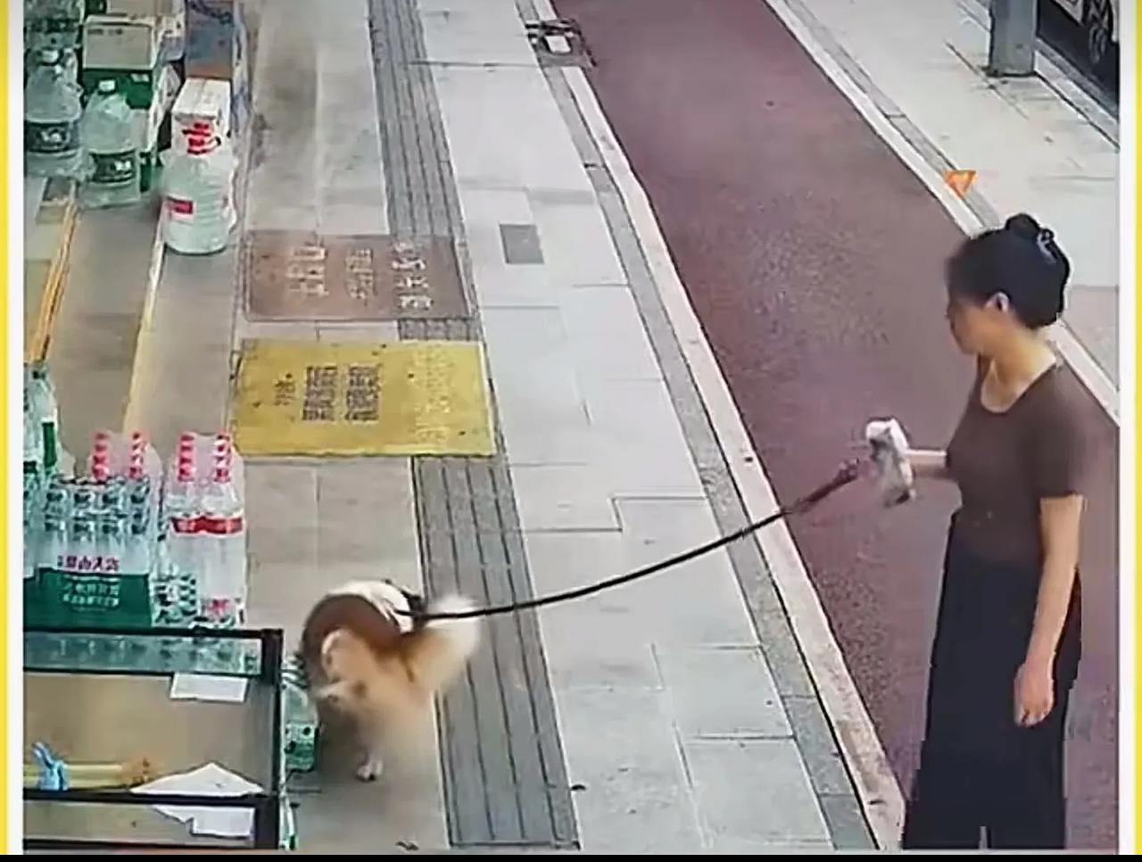 这个女人遛狗有点无耻。