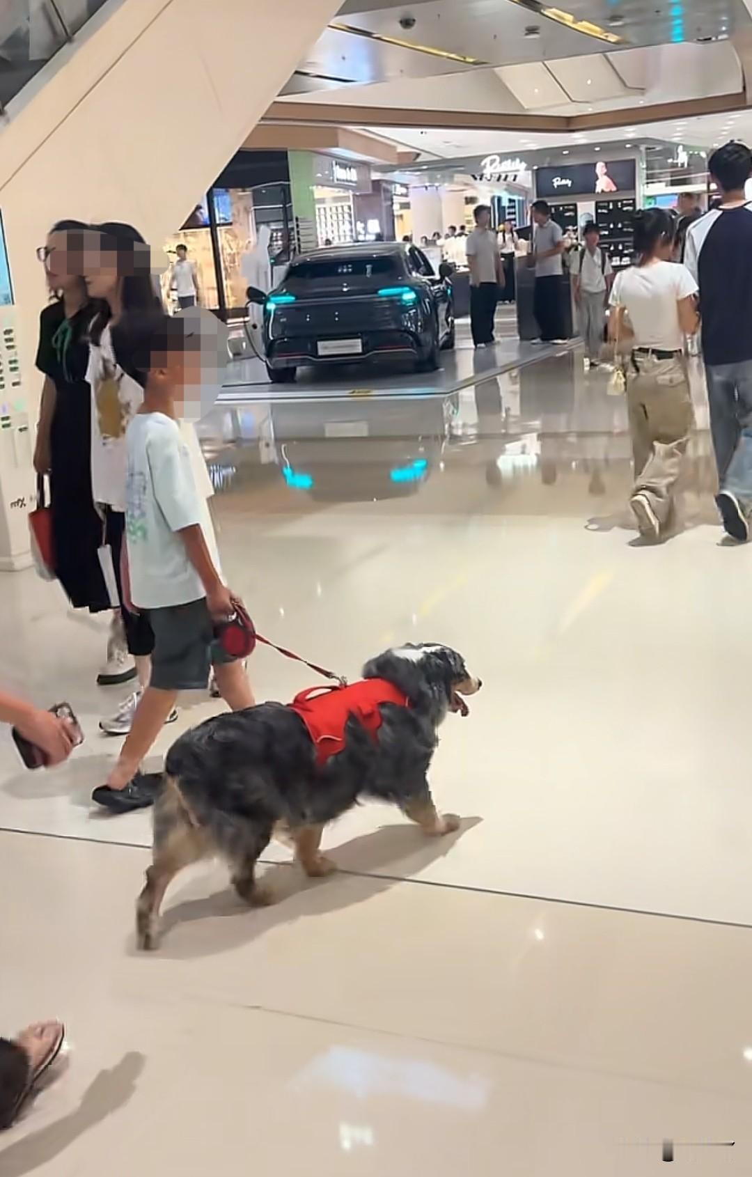 养狗的越来越过分了，遛狗竟然遛到了商场里。

6月20日，一个属地为江西的养狗人