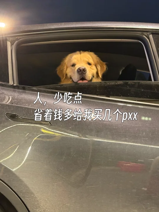 贪吃人，请接受狗头审视