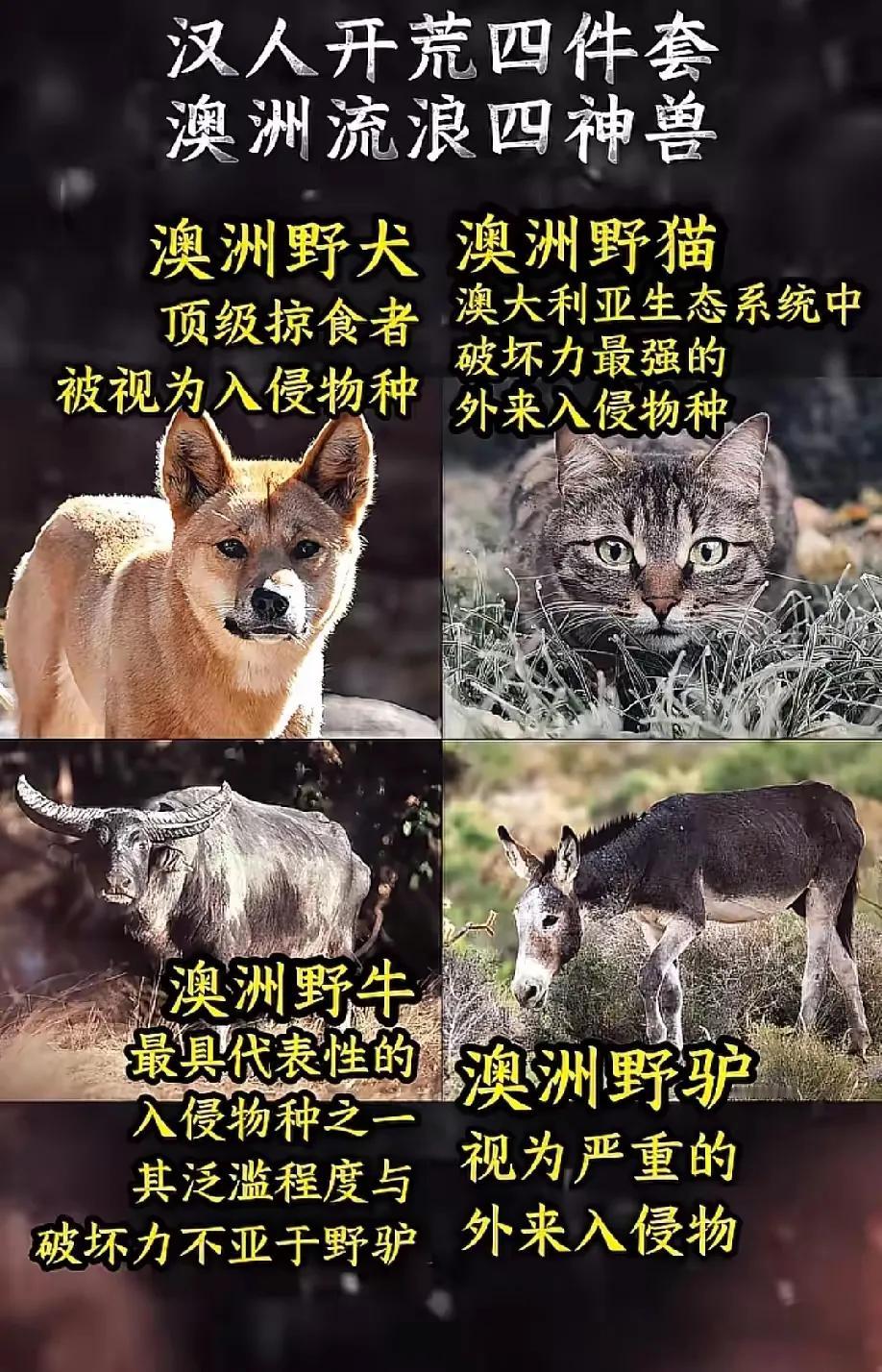 图片看的眼熟不？[灵光一闪]
东吴的人口和疆域实在对比不出来，可以把眼界再打开一