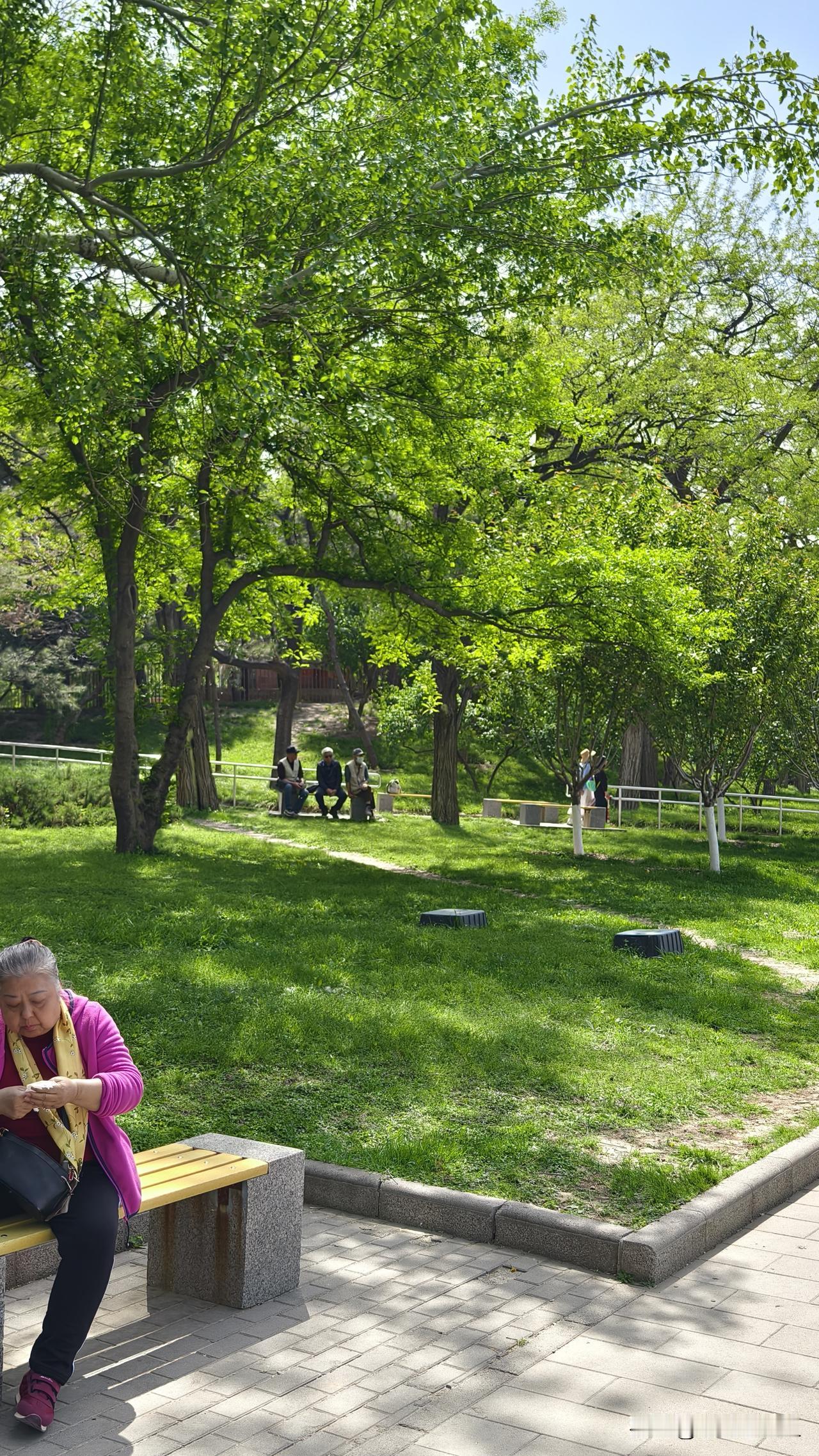 春天的北京花开不断，先是树上的花，一波波的，腊梅开过各种梅花接续，同时桃花、杏花