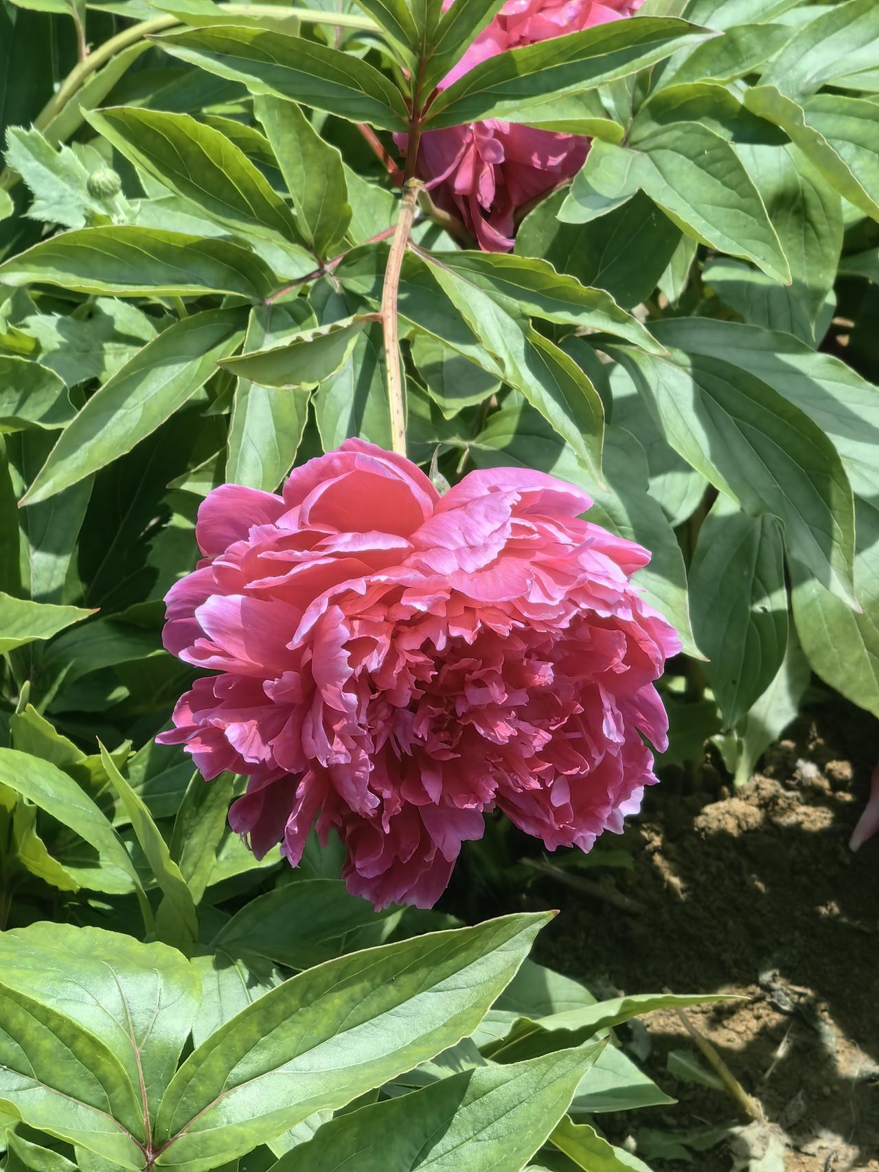 都说在A股36年历史上，5月出现牛市概率最大，我觉得今年5月可没那么简单。
回顾