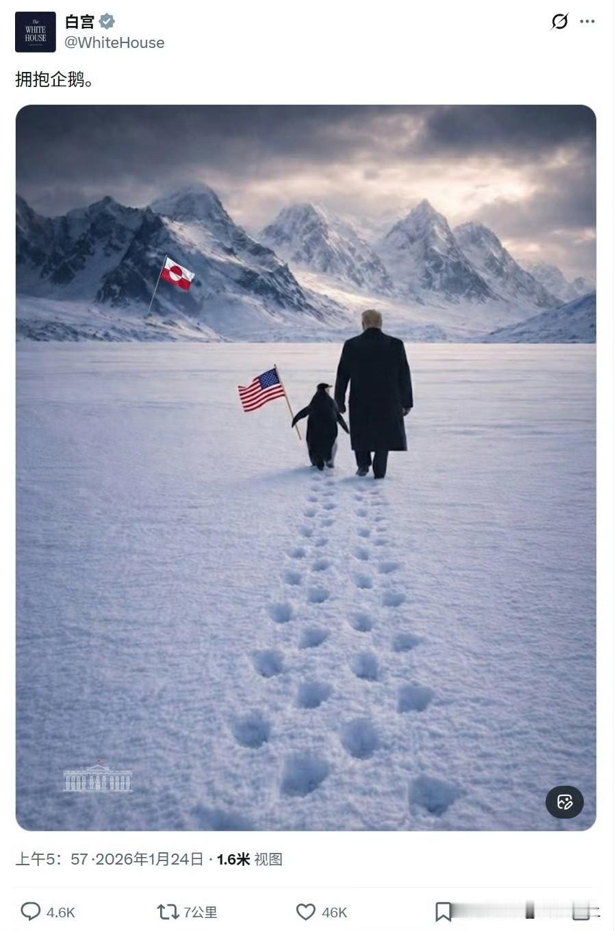 白宫草台班子到这个地步，真是没想到
特朗普牵着企鹅走在格陵兰岛，但凡有人学了点地
