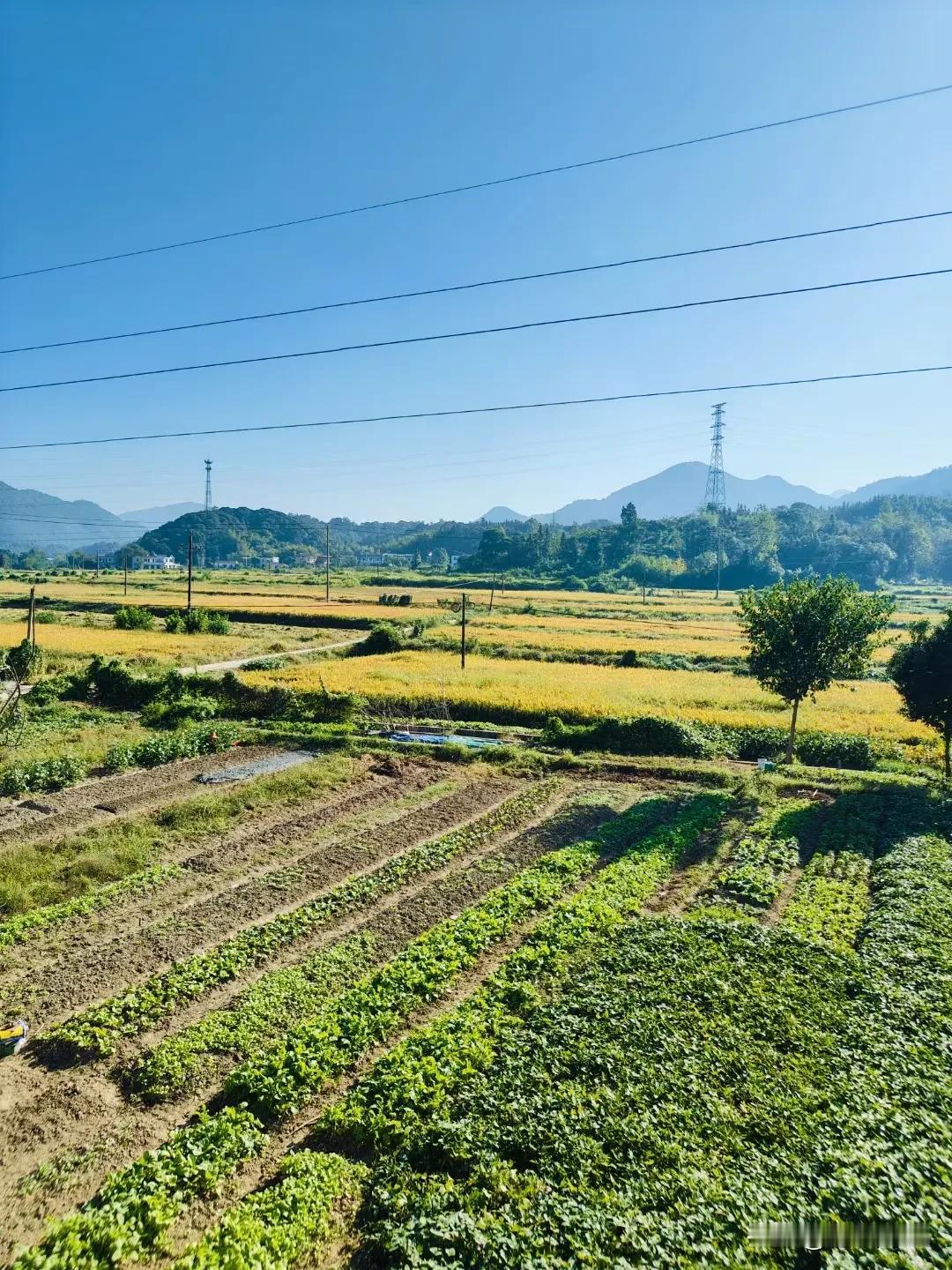 #一张图分享秋日风光#国庆节，祖国大地一片欢腾。秋日的风光和美景也为祖国的生日增