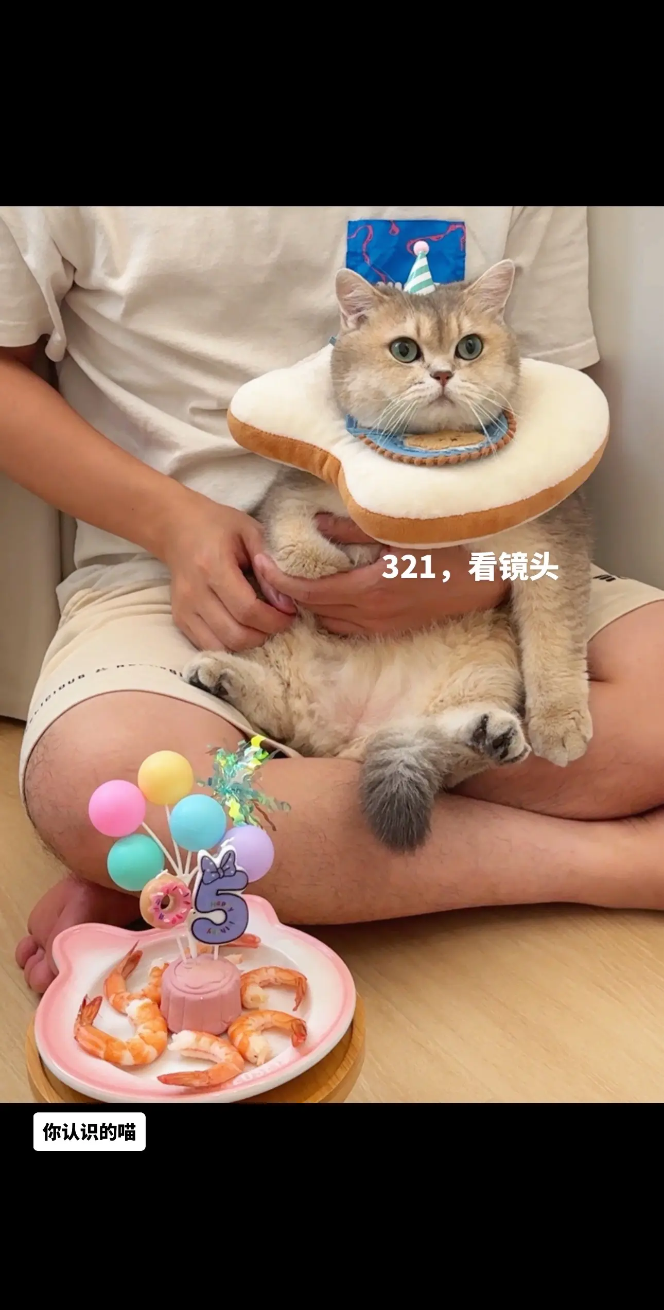 猪咪今年的生日跟中秋撞个满怀～希望我们的财哥哥依然保持身体健健康康，食...