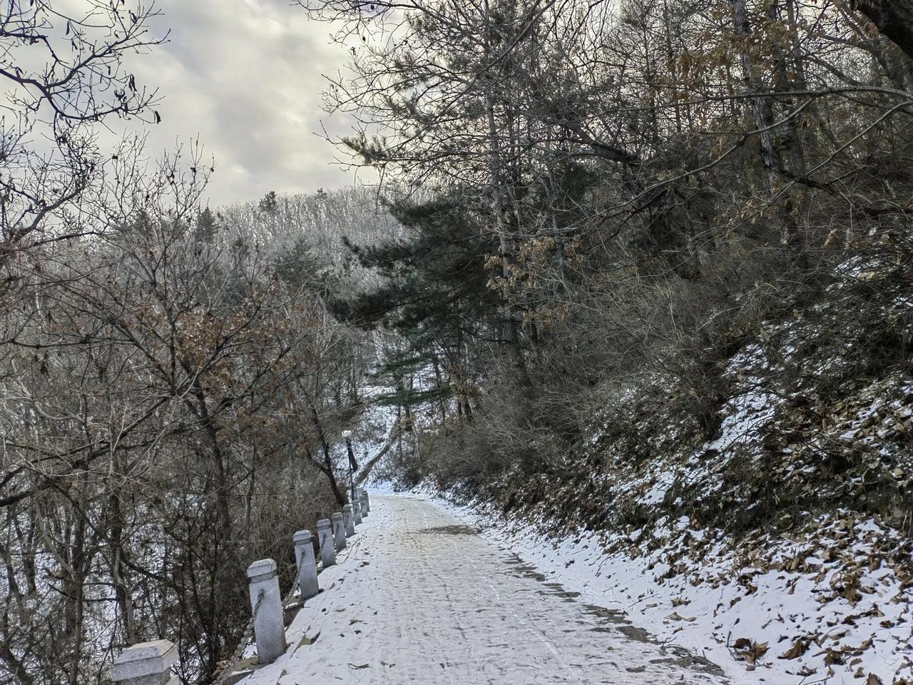 早上醒来突然想登山，好久没登山了，趁着爸不在家，好好的放松自己，想干啥就干啥，没