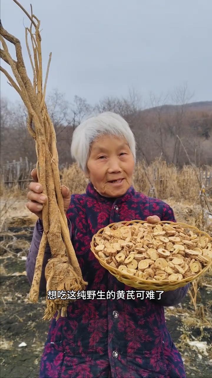 黑龙江原始大森林，寒带的黄芪盛黄金。
我家是小兴安岭的主脉，原始大森林。这是我们