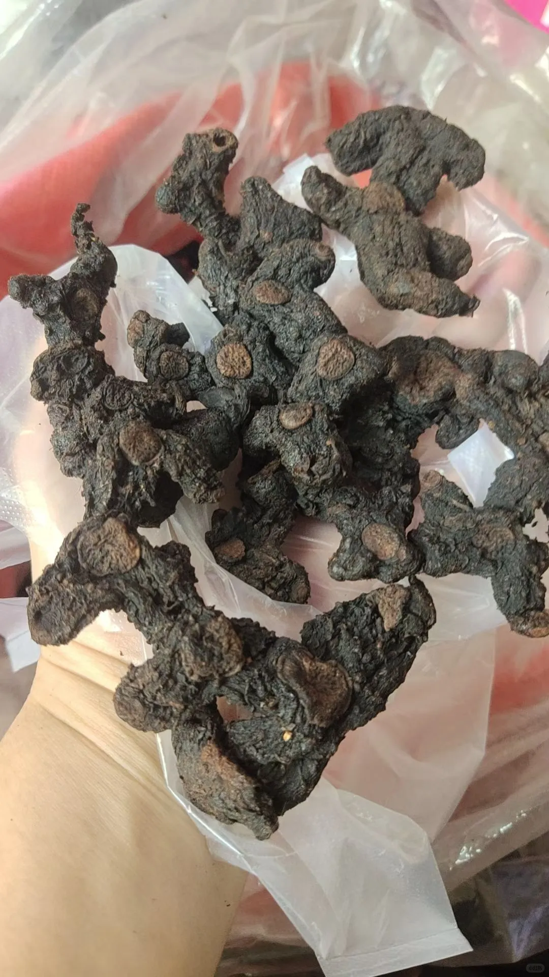 中医：秋天要养肺 九蒸九晒黄精通过传统的炮制工艺，极大地增强了黄精补肺...