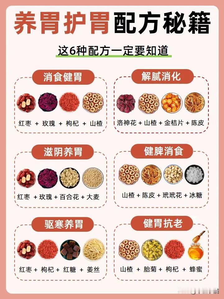 各位小伙伴们，胃可是咱们身体的“粮仓”，得好好呵护才行！今天就来给大家种草6款超