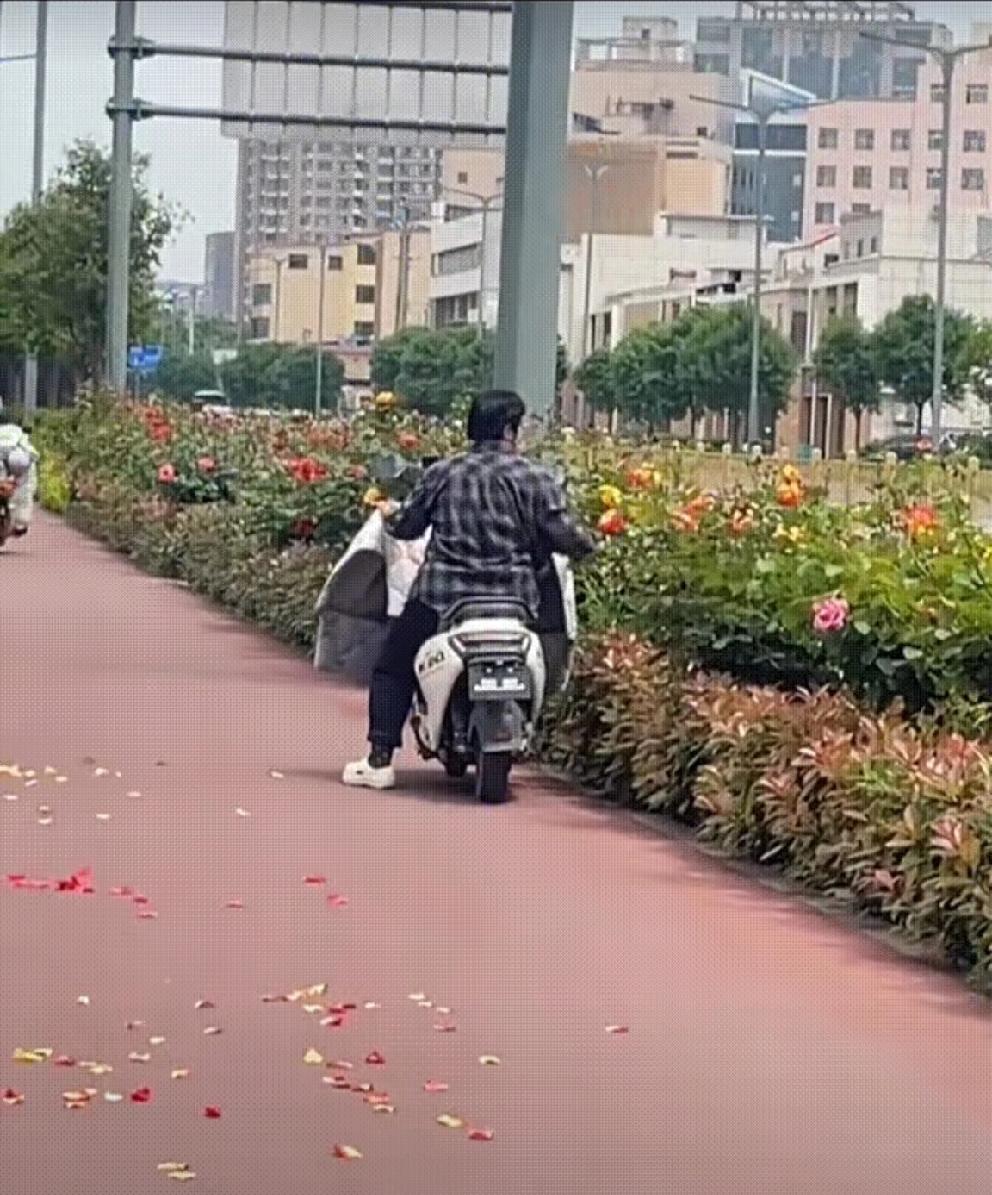 缺德大妈，别拿花出气！
视频中，这个大妈，骑着电驴子，路过一片盛开的鲜花。大妈就