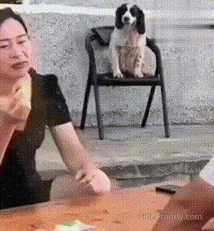 十赌九输那肯定是有原因的