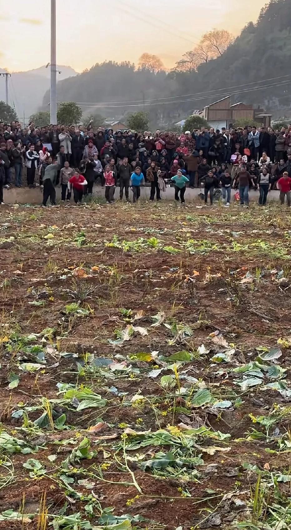 抖音刷到贵州这个视频，看起来很好玩。[大笑]过年要是有这样的活动，那可就太热闹了