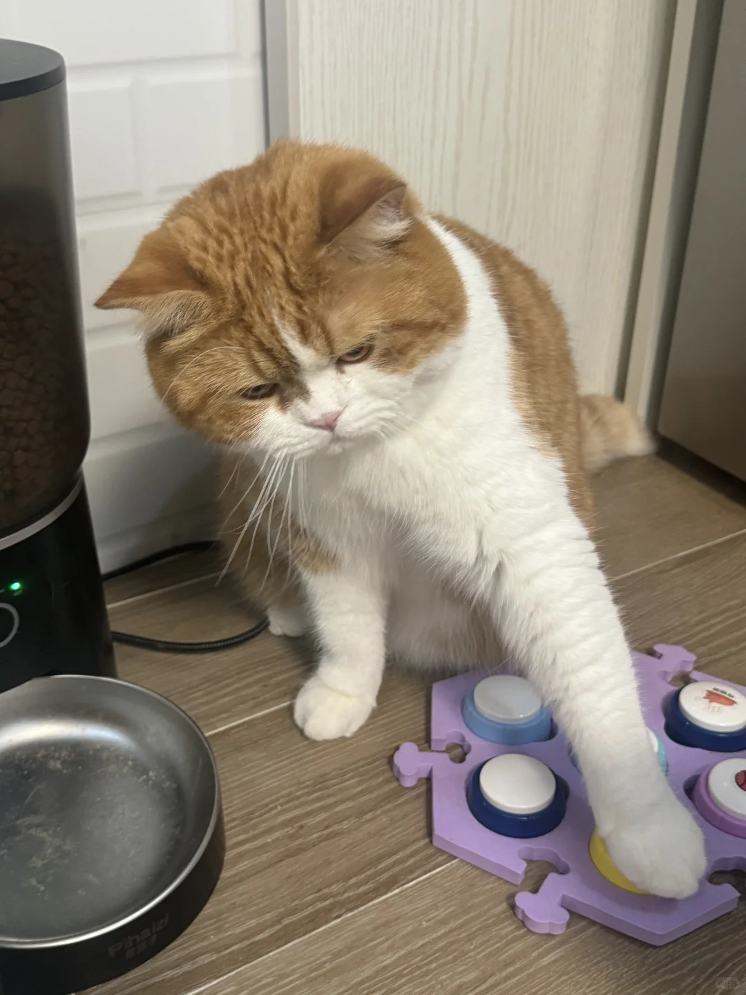 我好像很难还孩子自由