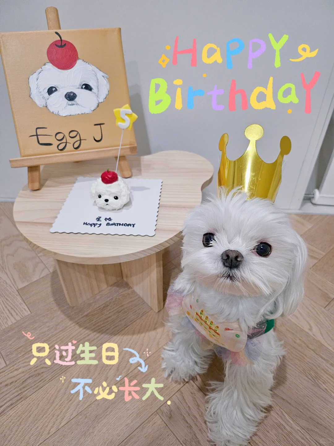 🎂有小伙伴给我们送祝福吗？