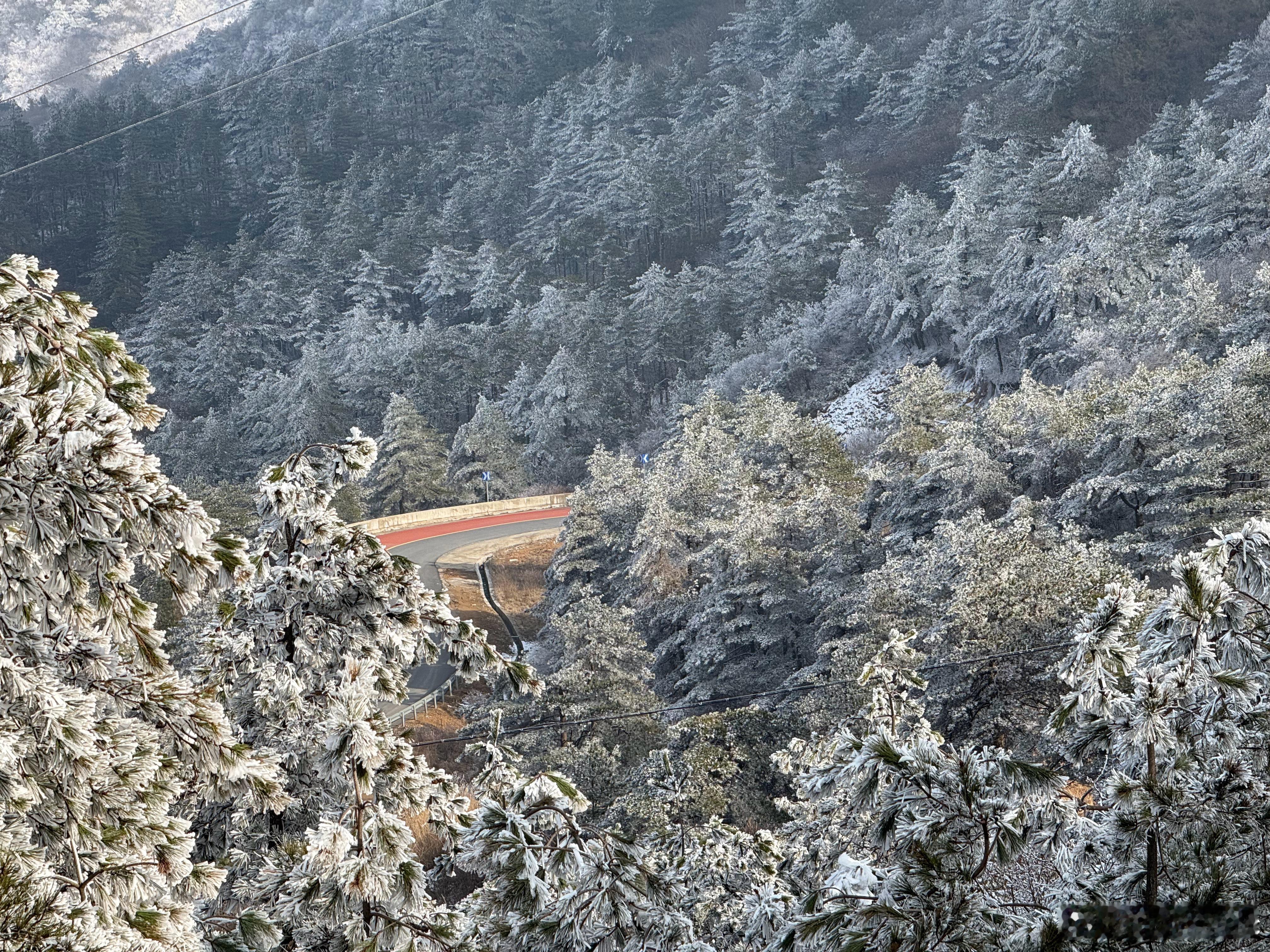 杭州的朋友这是学雪吗？我在北京没见过[喵喵]  ​​​