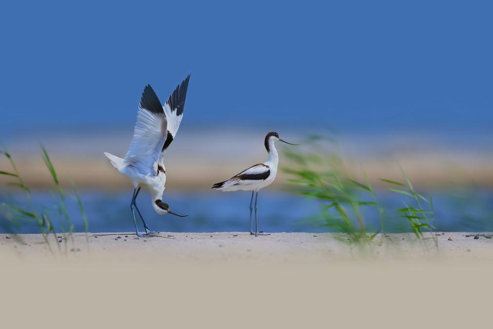 对于绝大多数的普通人，把自己的生活过好，不给国家添负担，在国家需要的时候能够添砖