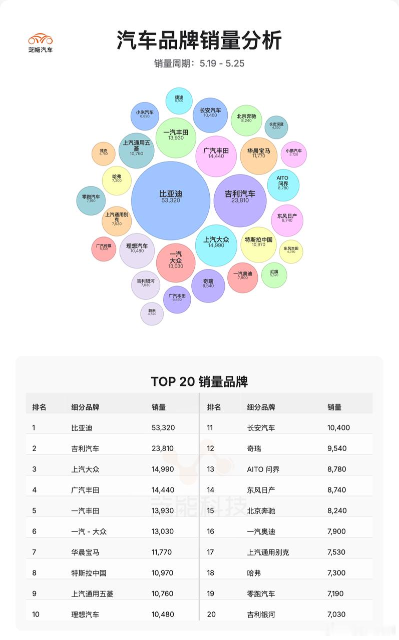 2025 年是中国汽车行业竞争关键节点。从销量看，品牌方面，比亚迪居首，造车新势