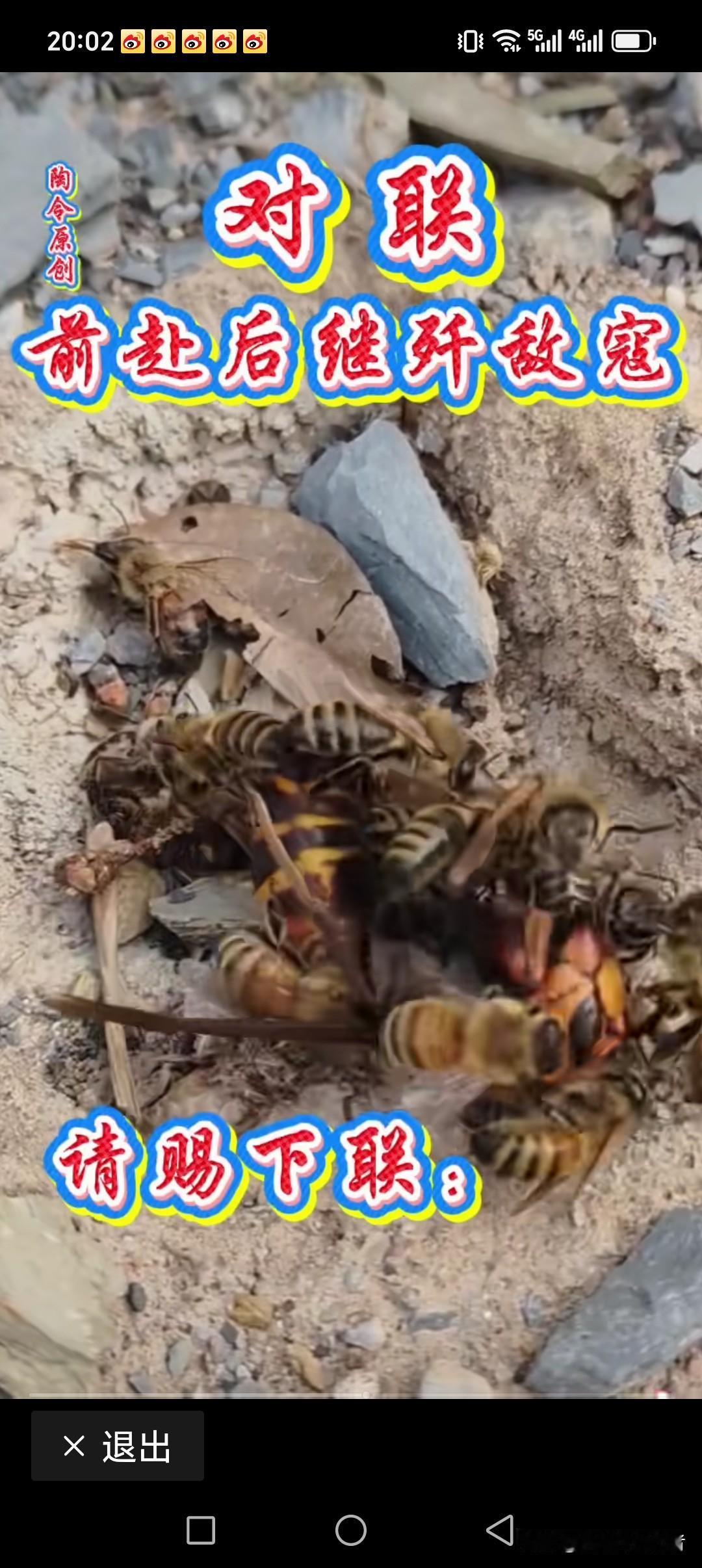 前赴后断歼敌寇
战而不息勇气佳