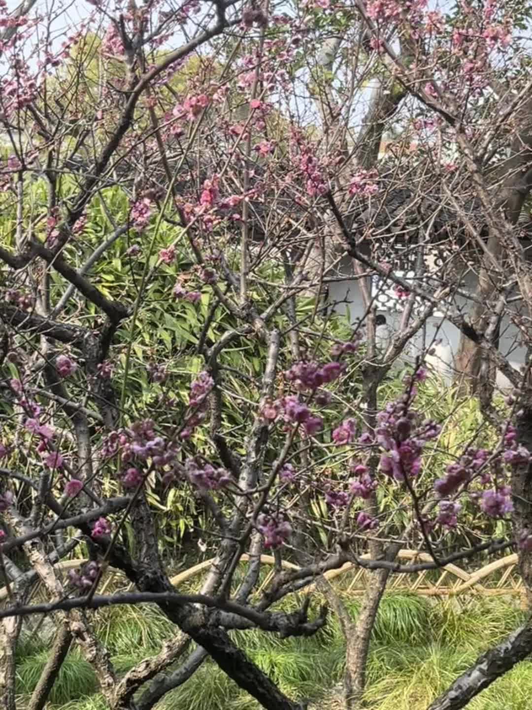 我太急切地想要一个答案了，想要风光的学位，瞬间的博学，想要意气风发，想...