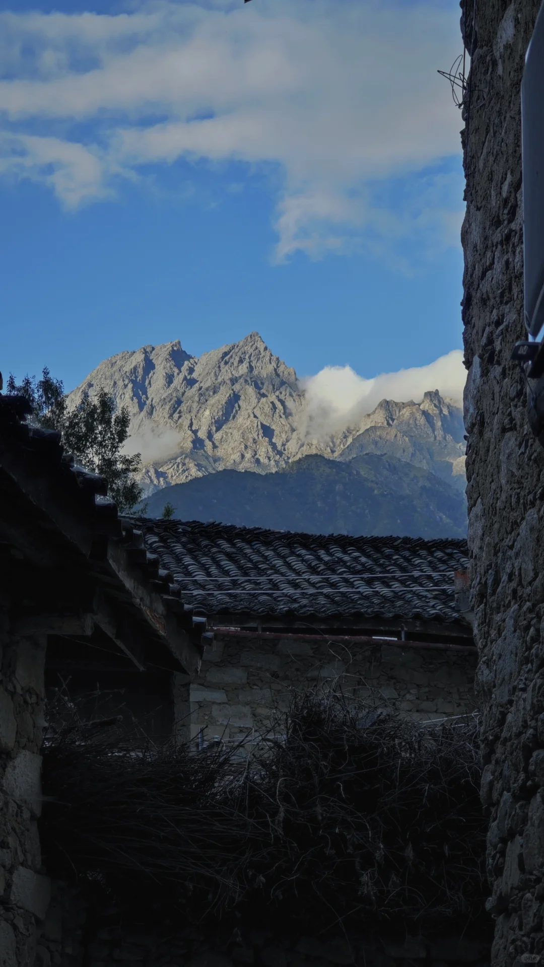 乡下随处可见的风景