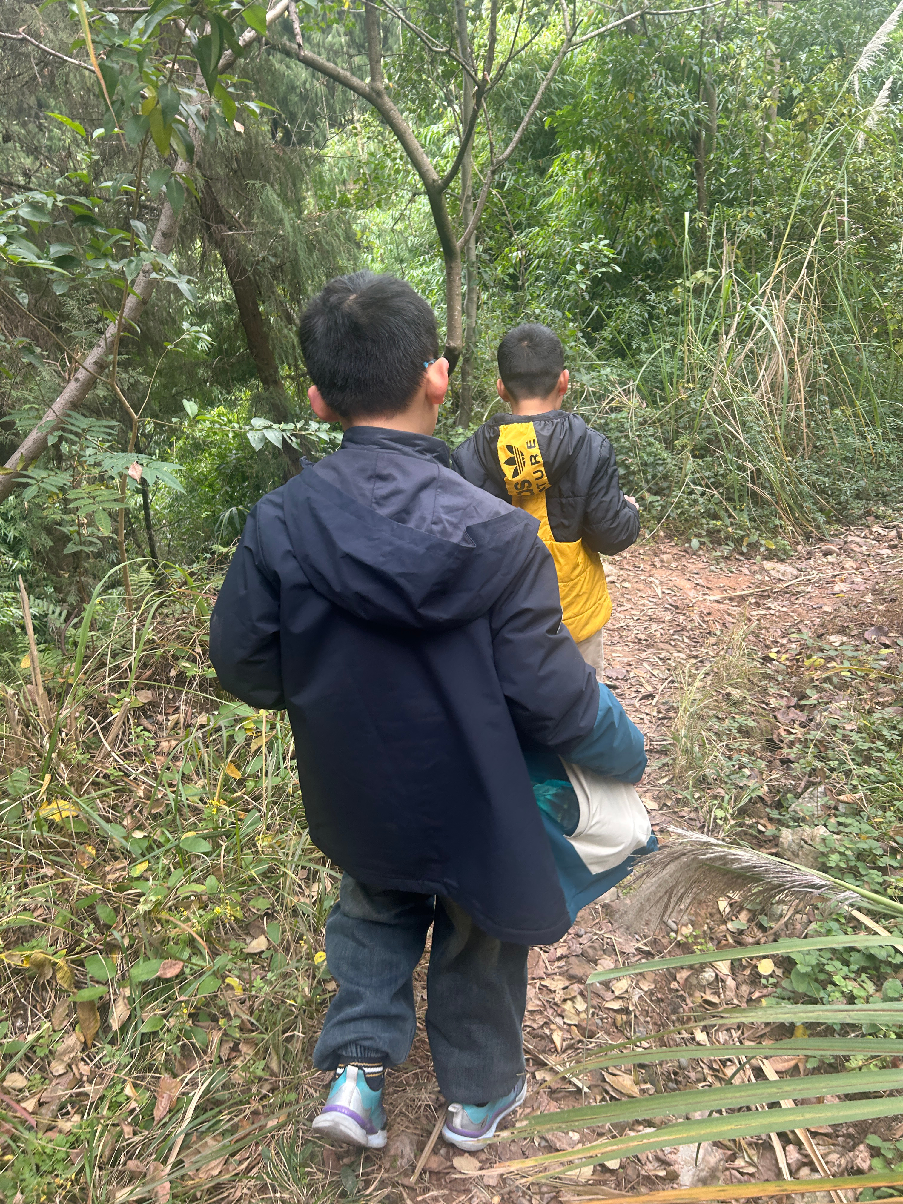 生活手记周末的大户外是一拖二的快乐冒险没有太阳的周末带娃钻进山林里刚踏进山林差点