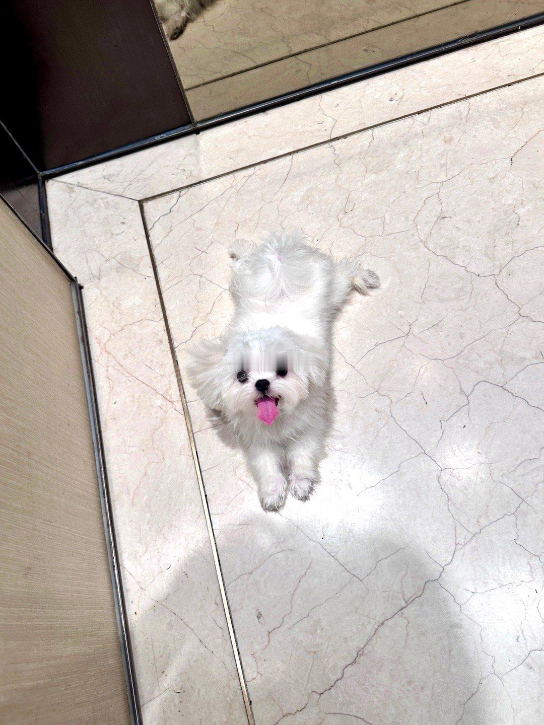 分享图片 ​​​