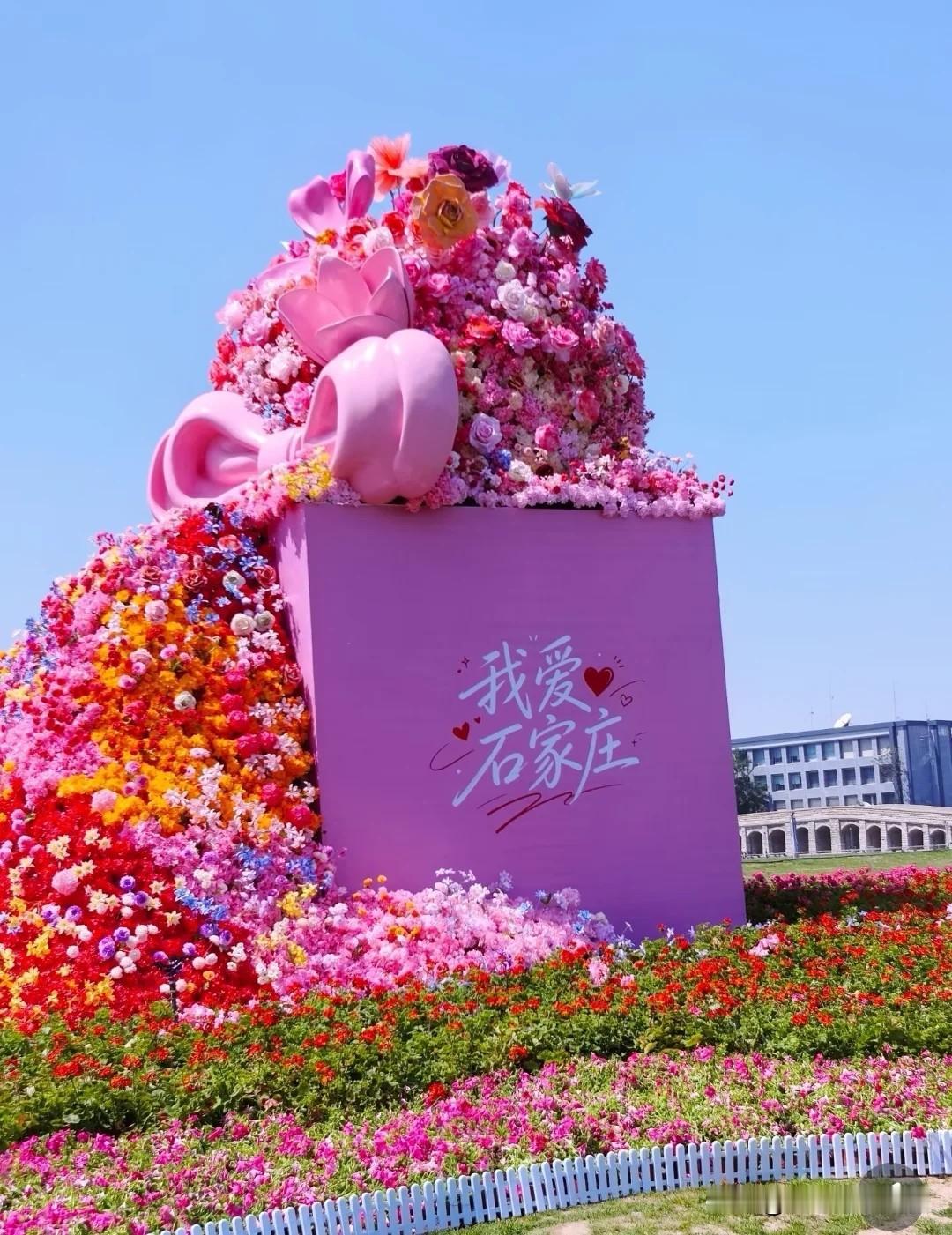 夏日生活打卡季 四年前，我家大宝骨折住院，在同一病房，碰到一个患骨癌的初中小女生