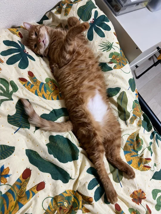 知道你现在松弛了