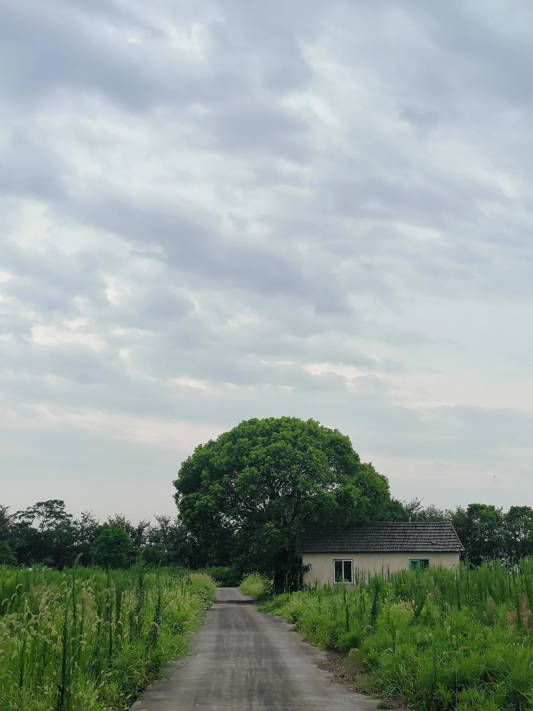 放下那么多的感悟感受共情理解考量 多在意今天的状态表现胃口情绪睡眠 财...