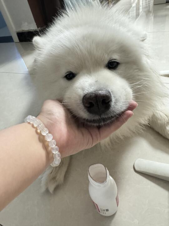 妈妈酱，是瓶子先动手的