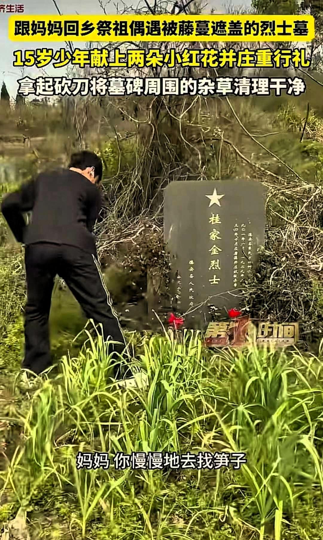 太懂事了！”江西九江，一女子带15岁儿子回乡上山祭祖，意外在途中发现一座长满藤蔓