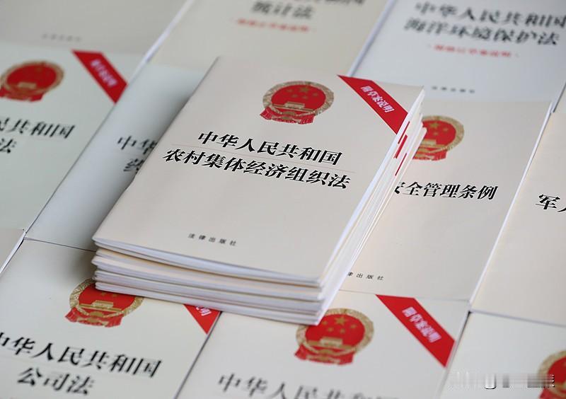发展农村集体经济的突破点在哪里? 发展农村集体经济，政策扶持是重要突破点。国家出
