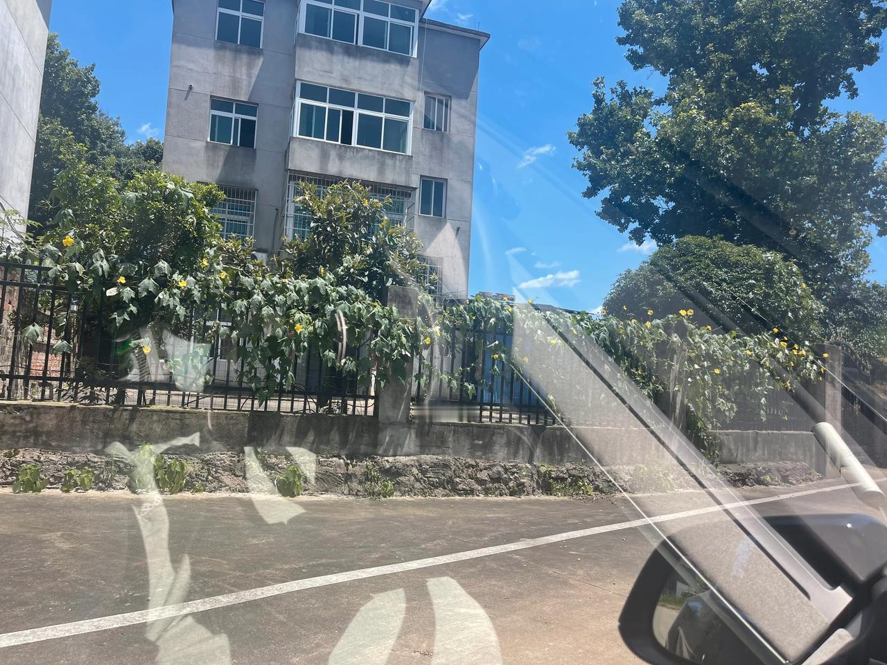 #围墙丝瓜# #只要地，没有我们老一辈不会的东西#