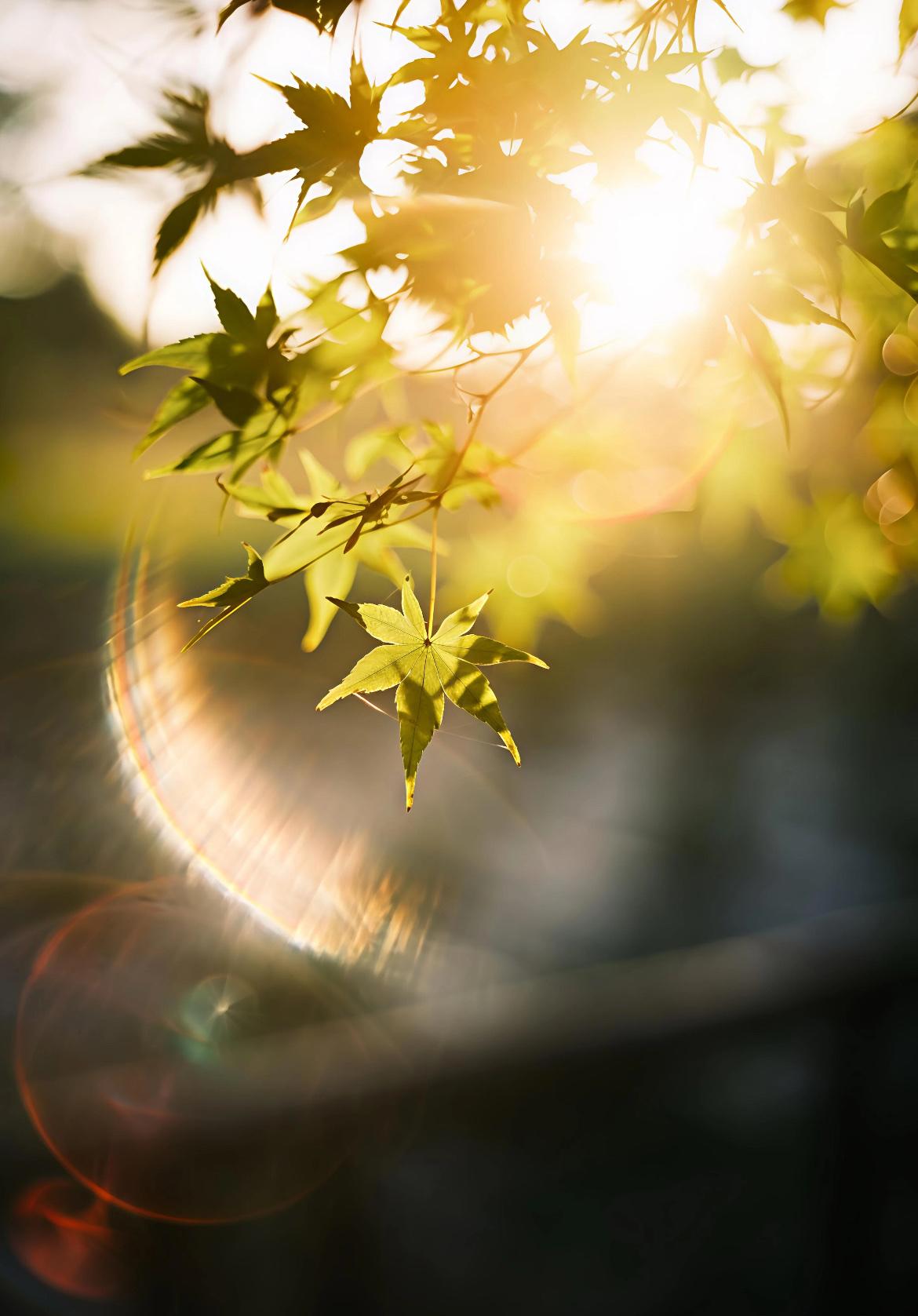 人品才华美貌，对于女人哪个更重要美貌是第一眼的惊艳，才华是久处的趣味，而人品是立