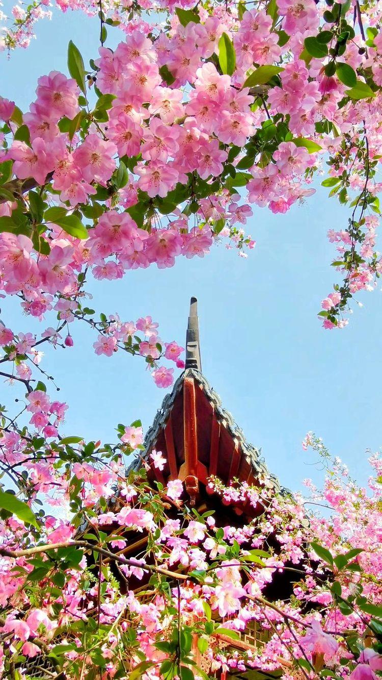 周日晚间传来重磅消息，3月9日看盘重点解析！
周日晚间重磅消息如下：
一，据媒体