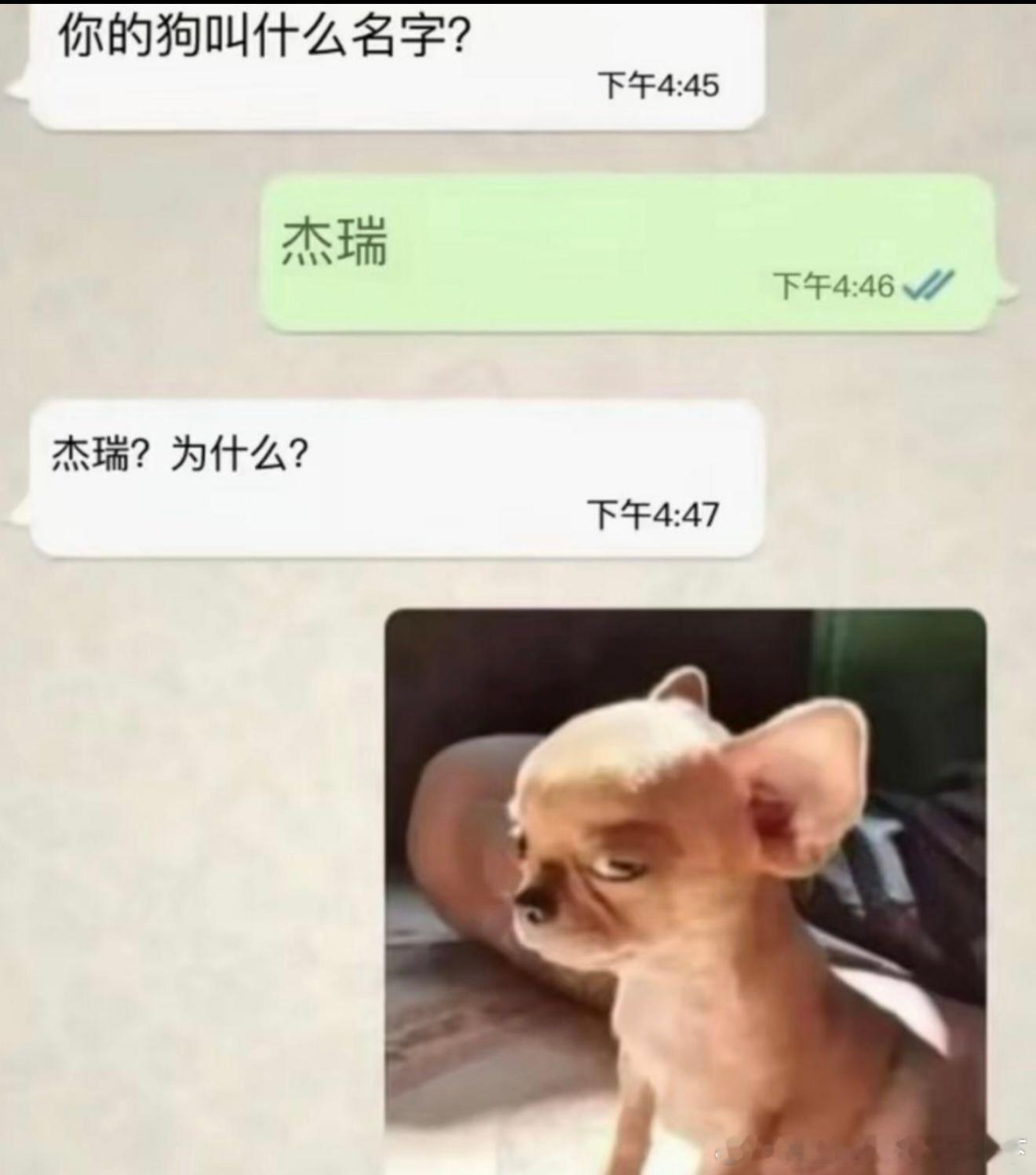 6603杰瑞～ 