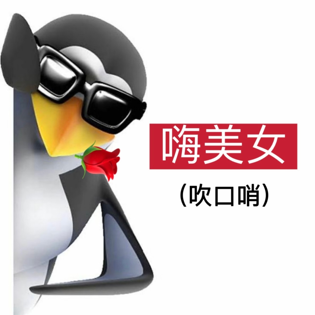 有没有落雁沉鱼 兰质蕙心 明眸皓齿 螓首蛾眉 水木清华 爽心悦目 天生丽质 天香