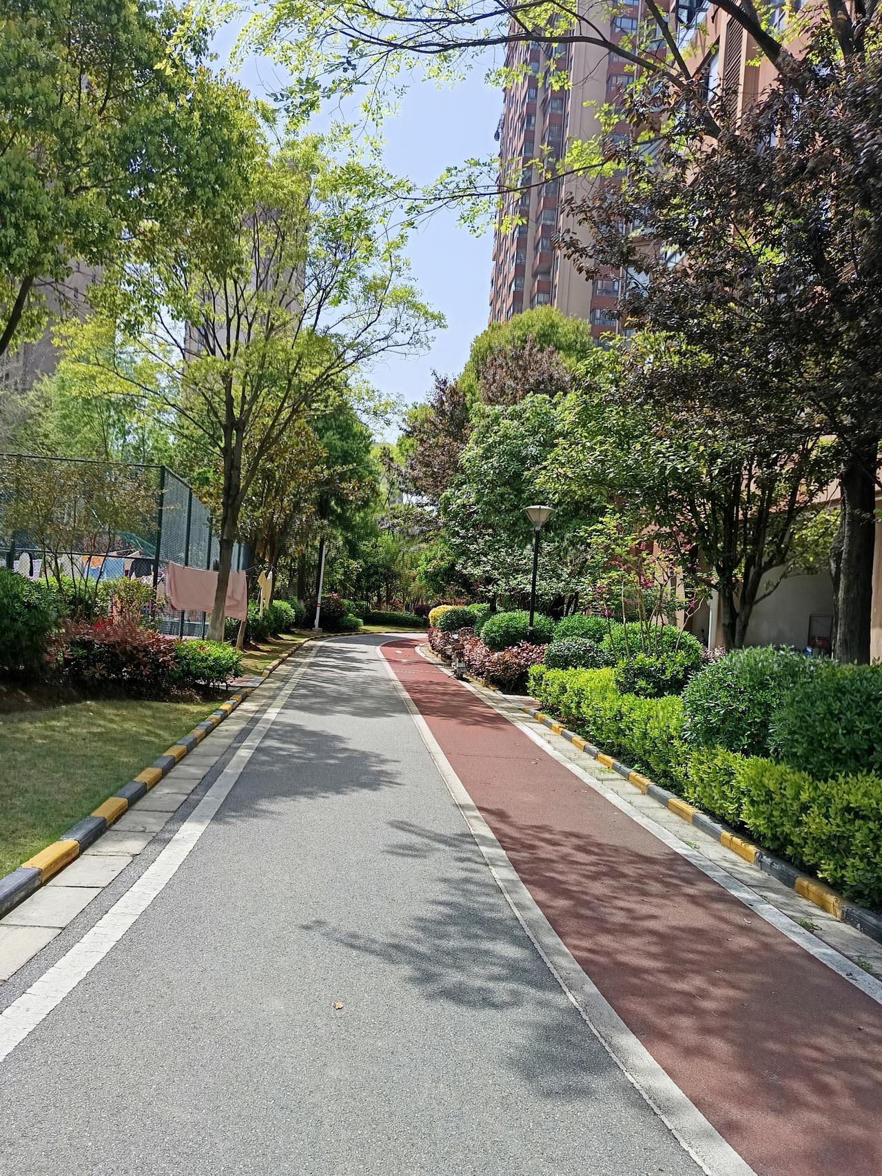 昨天带外孙学骑自行车，外孙在前面骑，我跟在后面跑，一个半小时下来我也很累，晚上回