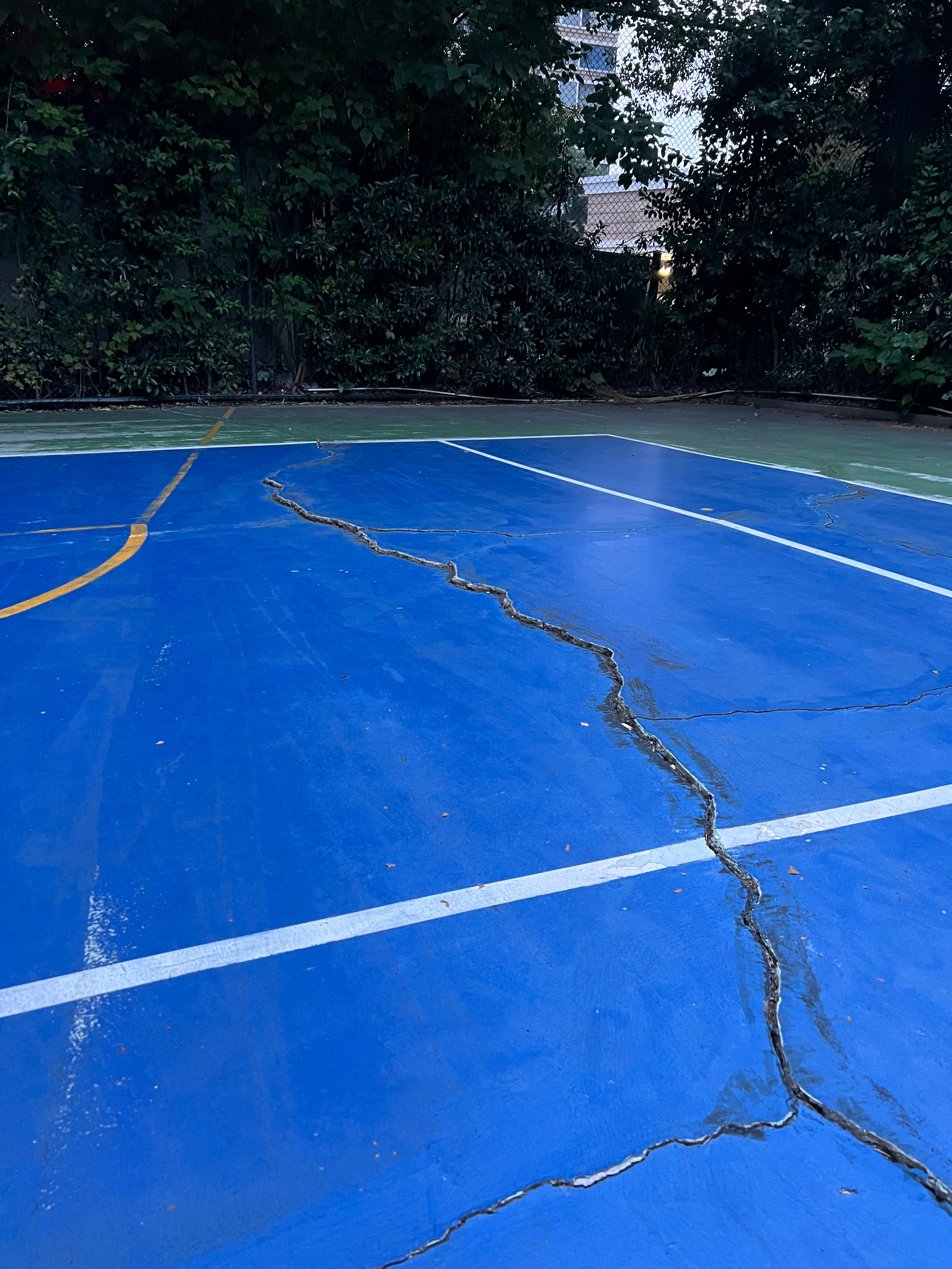 隔壁小区的兄弟喊我来打球，一进球场我震惊了，地面高低起伏，开裂，地面没线，树枝长