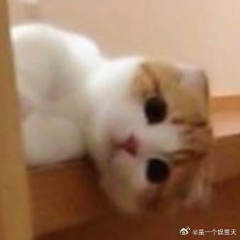 发现了一种很新的老人深耕线上技能学习，不少老年人自学剪辑、书法直播，凭借特长收获