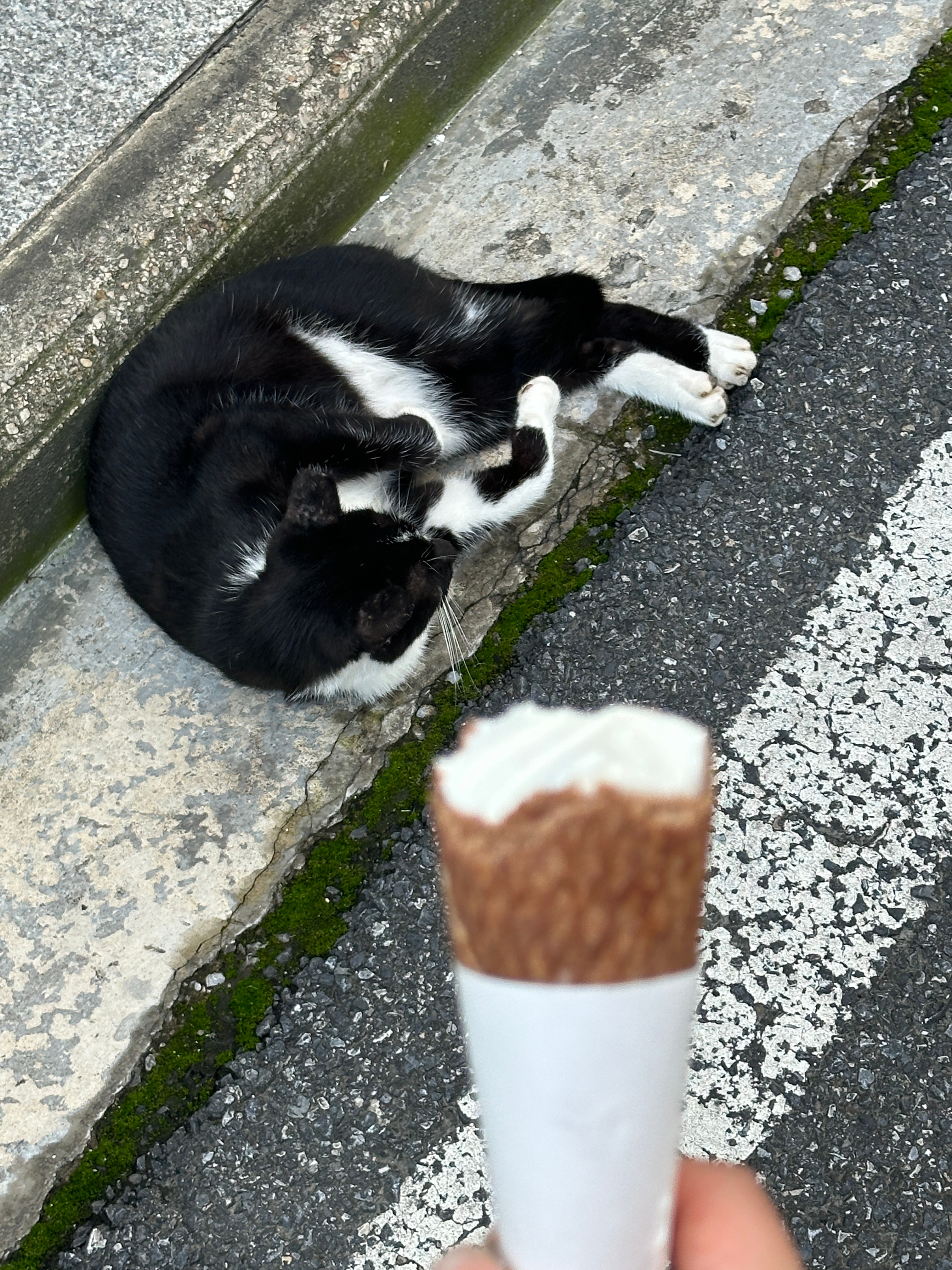 今天没啥图发•ᴗ•💧就一个字：困 ​​​