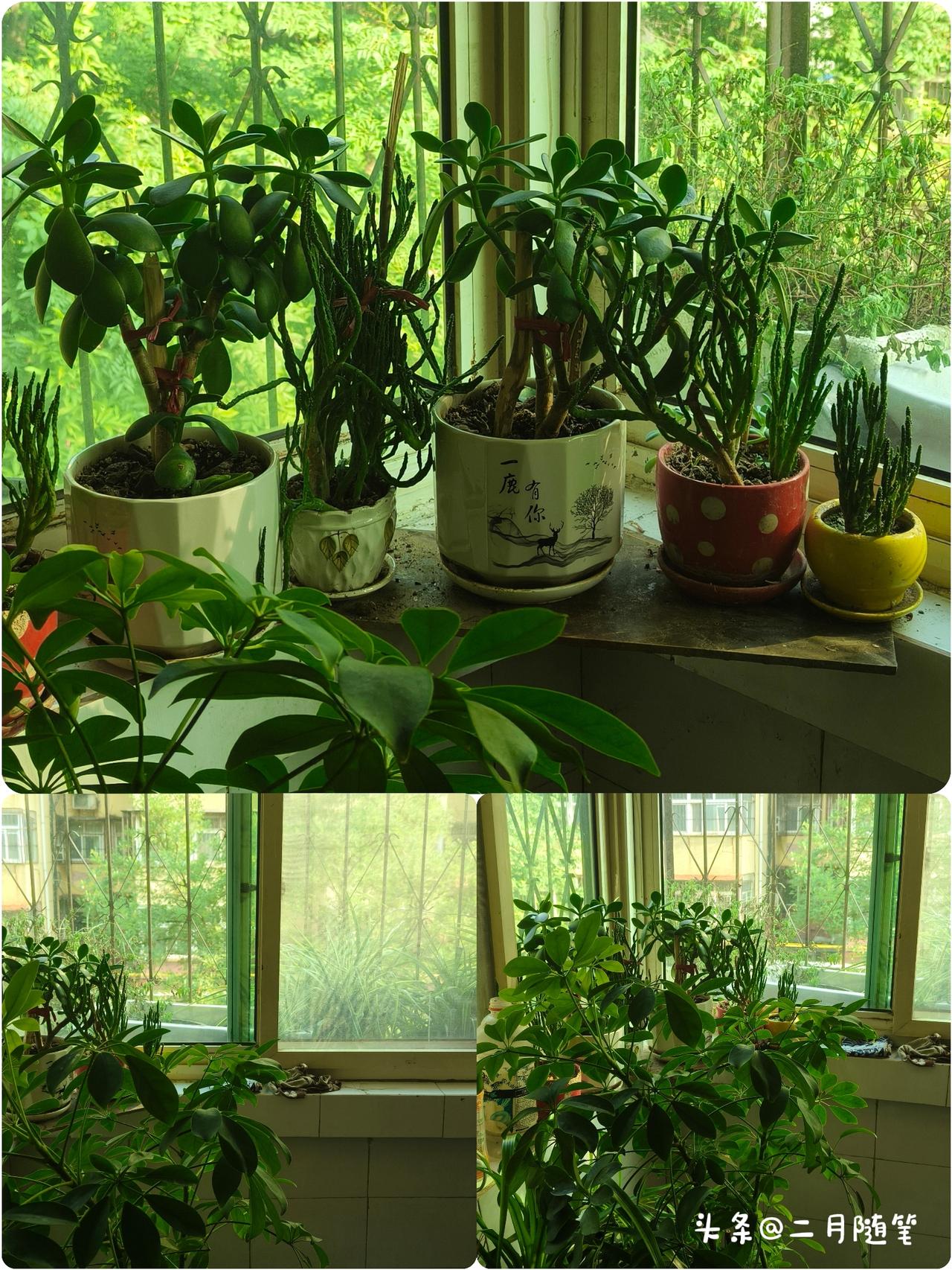 人到中年，
才懂，
善待老人其实就是善待自己。

年轻时认知浅薄，
总把婆婆当外