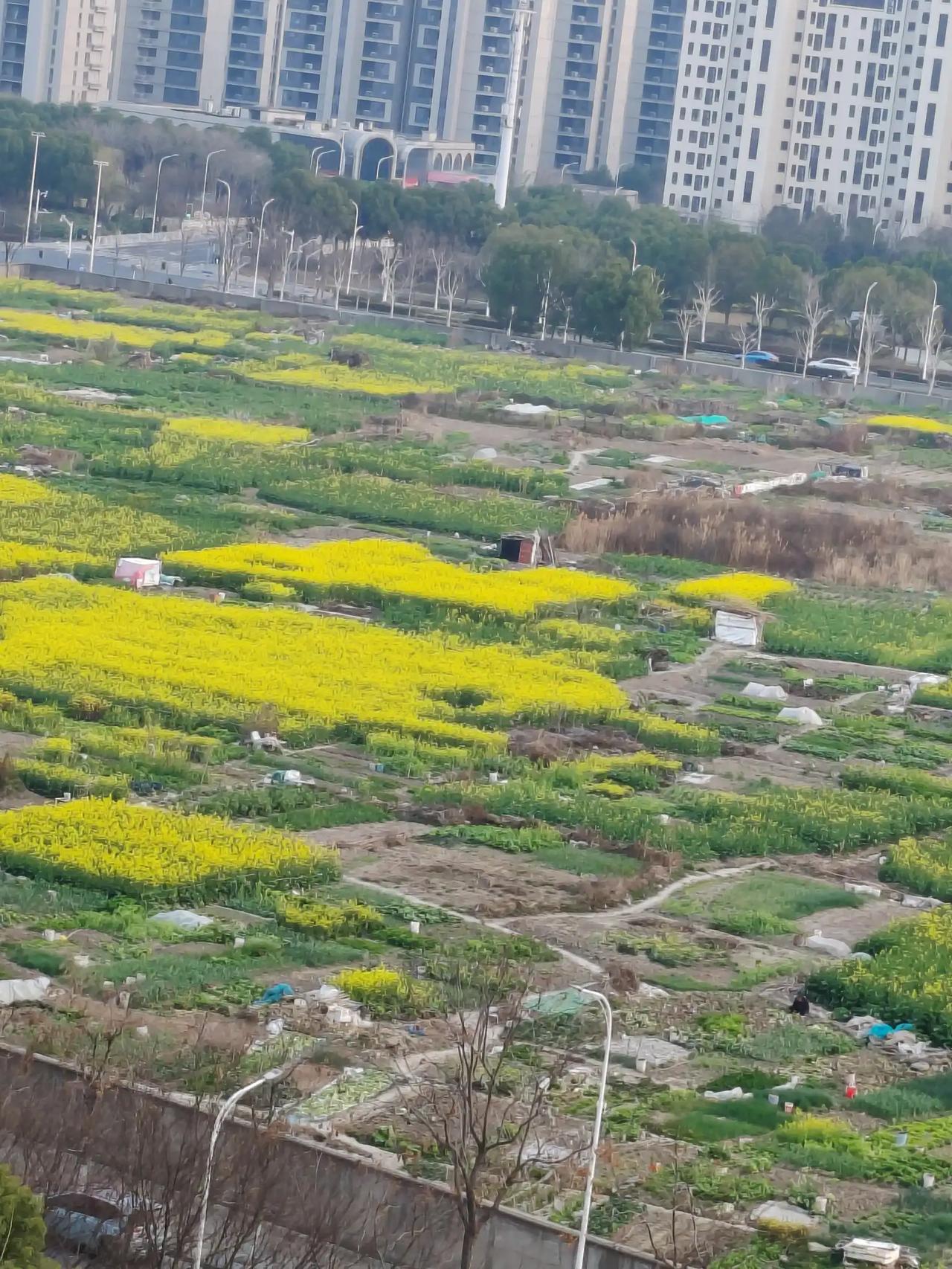 :诗田半亩种风月
 荒地一块撒黄金