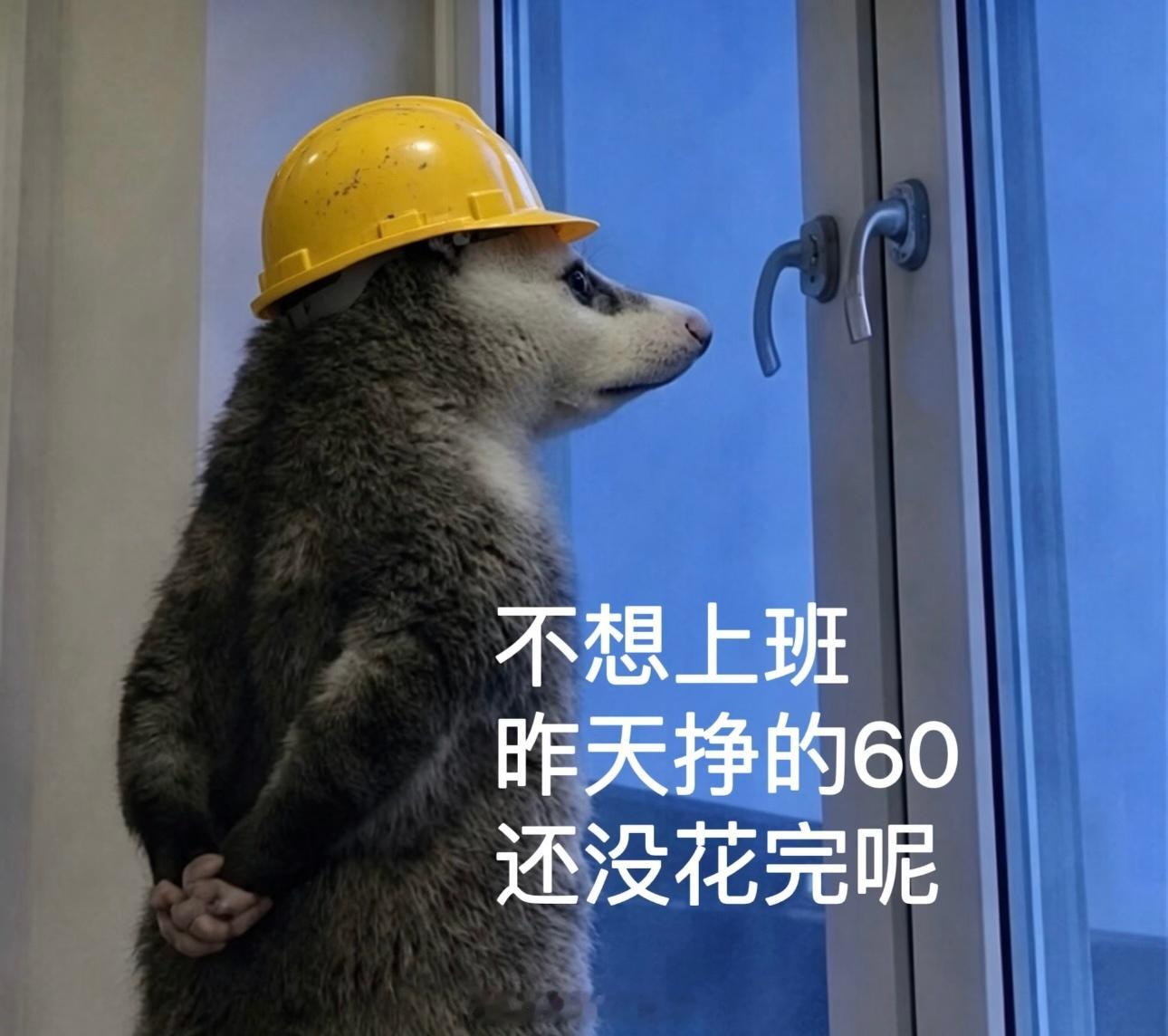（τ）定律英文叫Tao Law中文读：