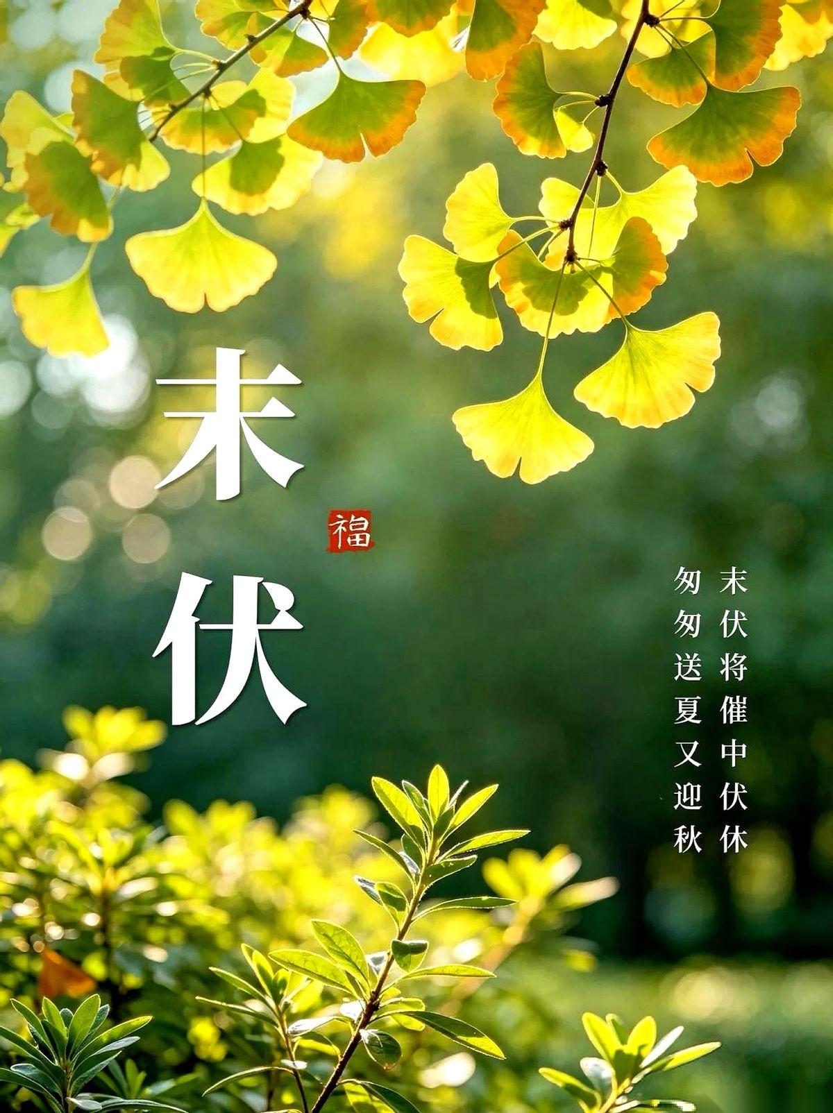 别再盯着手机里的高温预警叹气了，夏天马上就要卷铺盖走人了。
日历悄悄翻过了一道坎