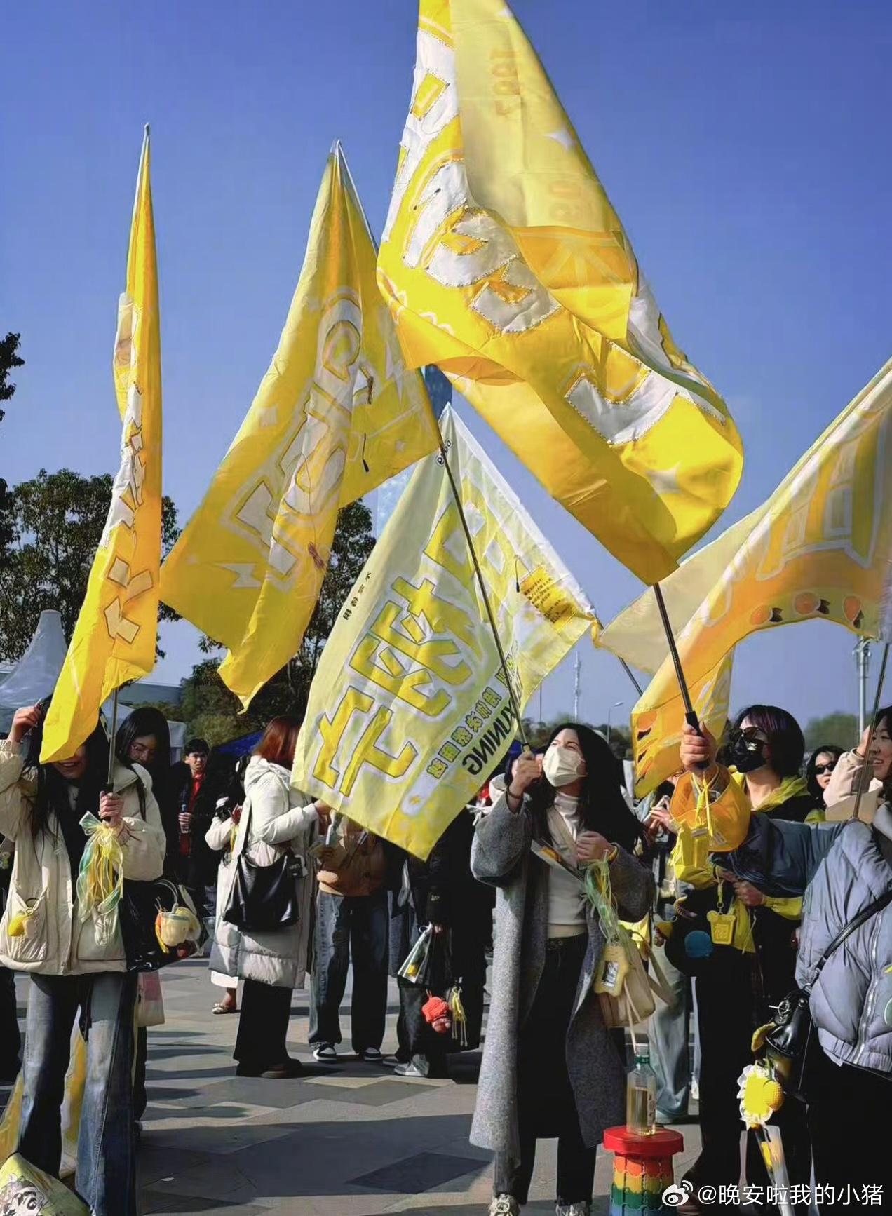 田栩宁粉丝F1大赛应援排面
