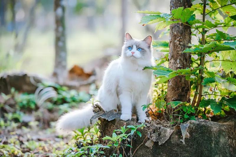 性格决定人生？我认为性格顶多是重要“影响因子”，并非“决定者”。
外向者社交广，